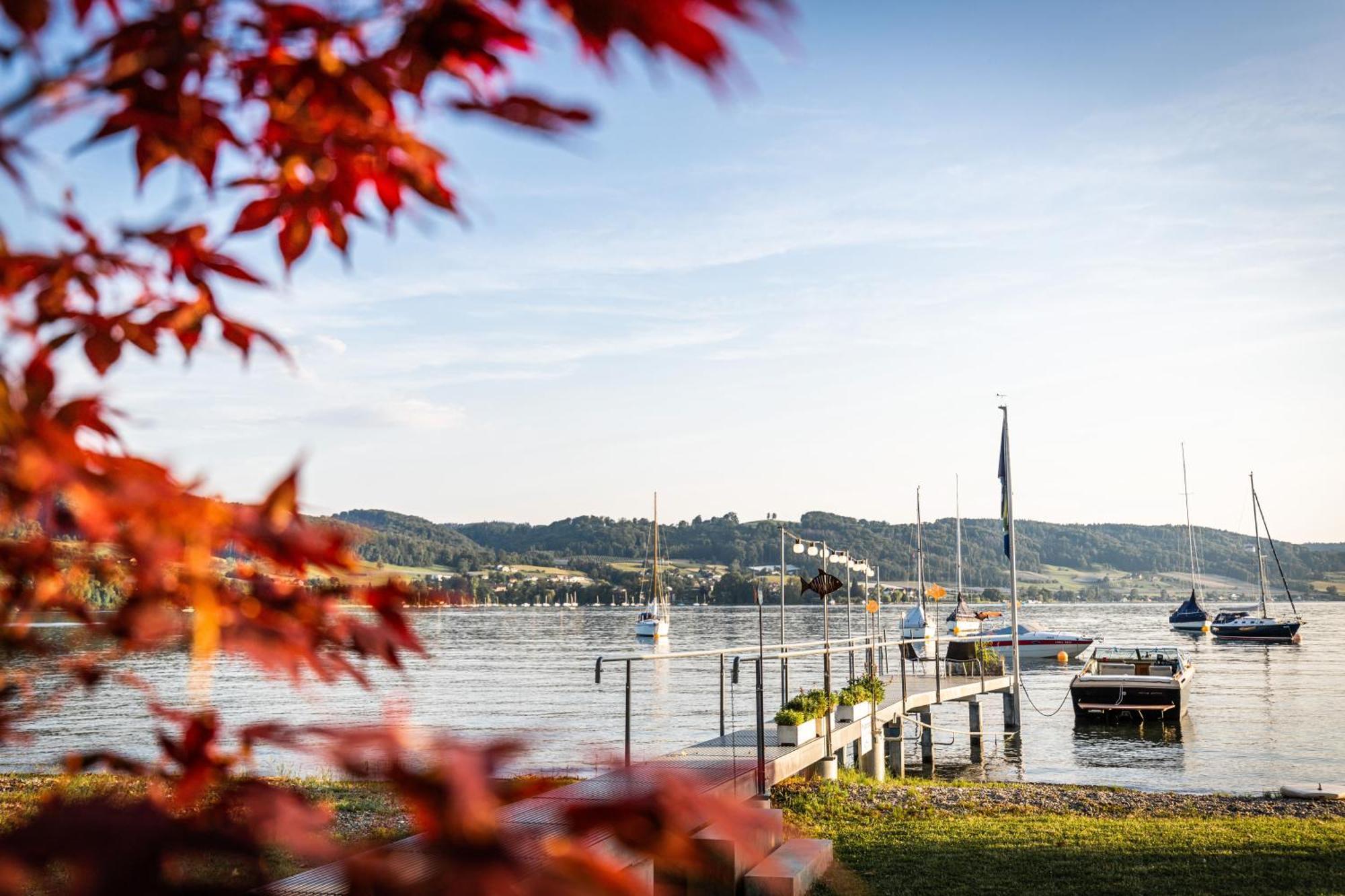 Residenz Seeterrasse Restaurant & Hotel Wangen  エクステリア 写真