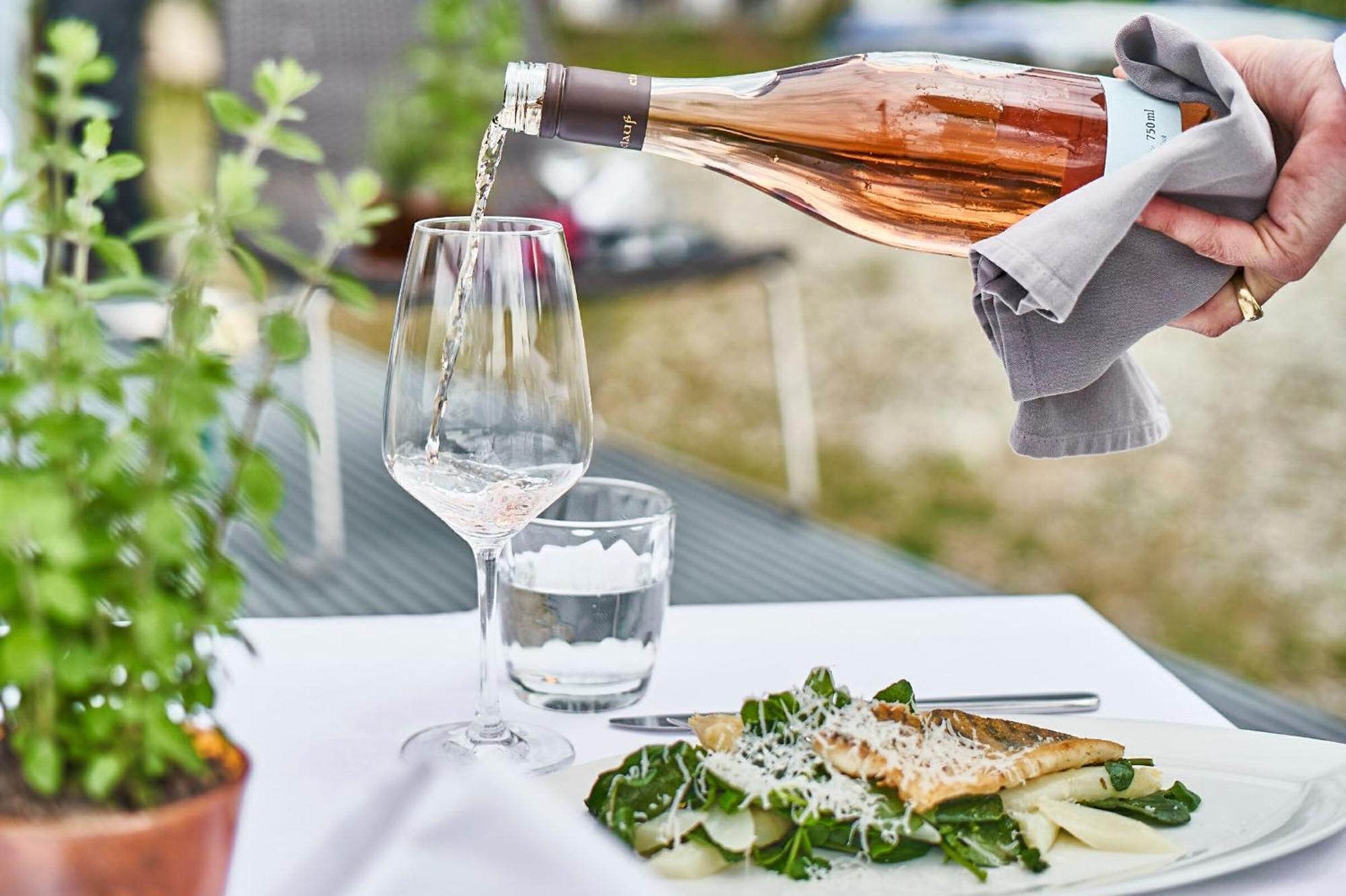 Residenz Seeterrasse Restaurant & Hotel Wangen  エクステリア 写真